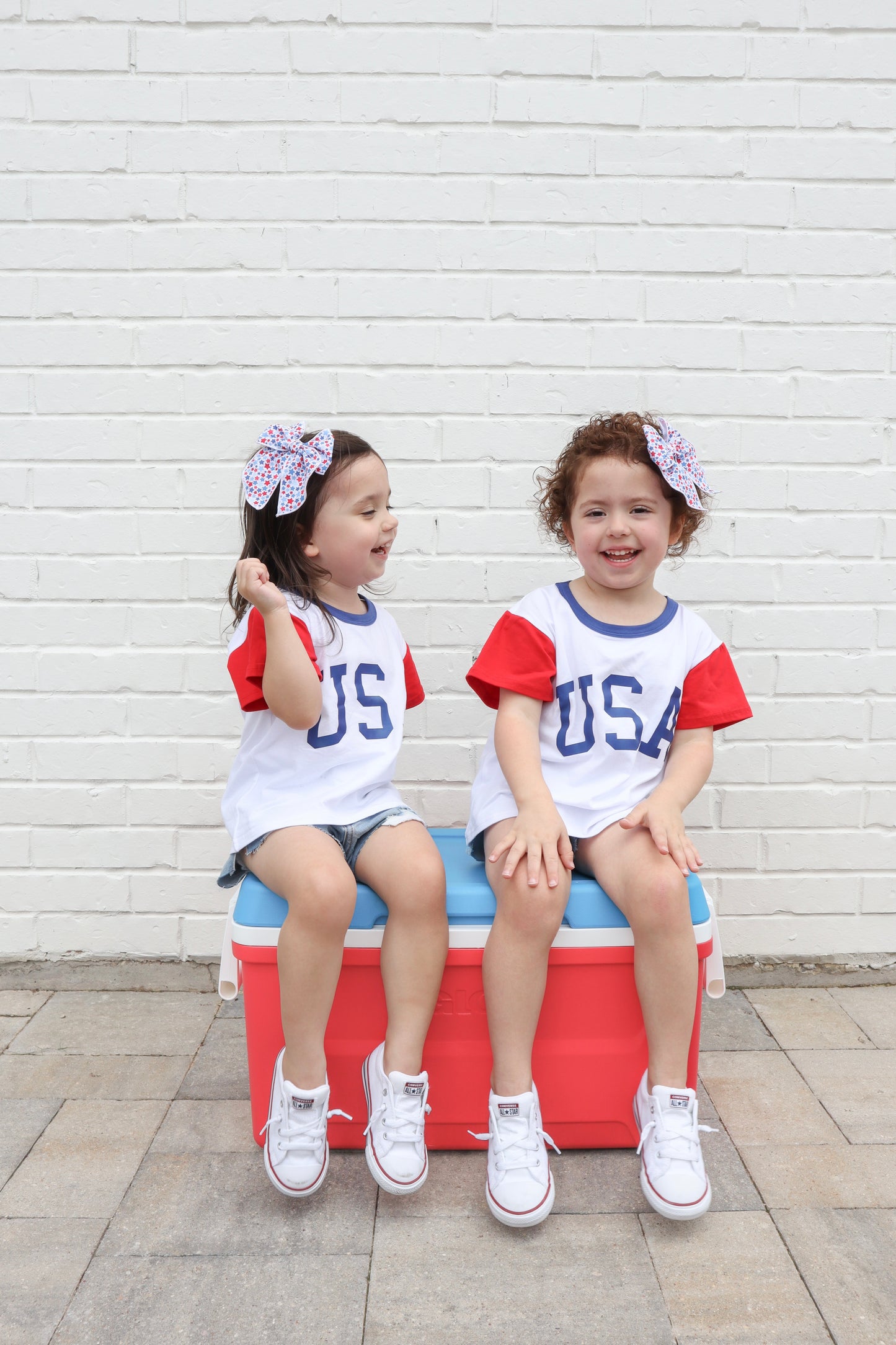 AK-USA Tee
