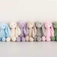 Customized Bunny Stuffy-PRE ORDER