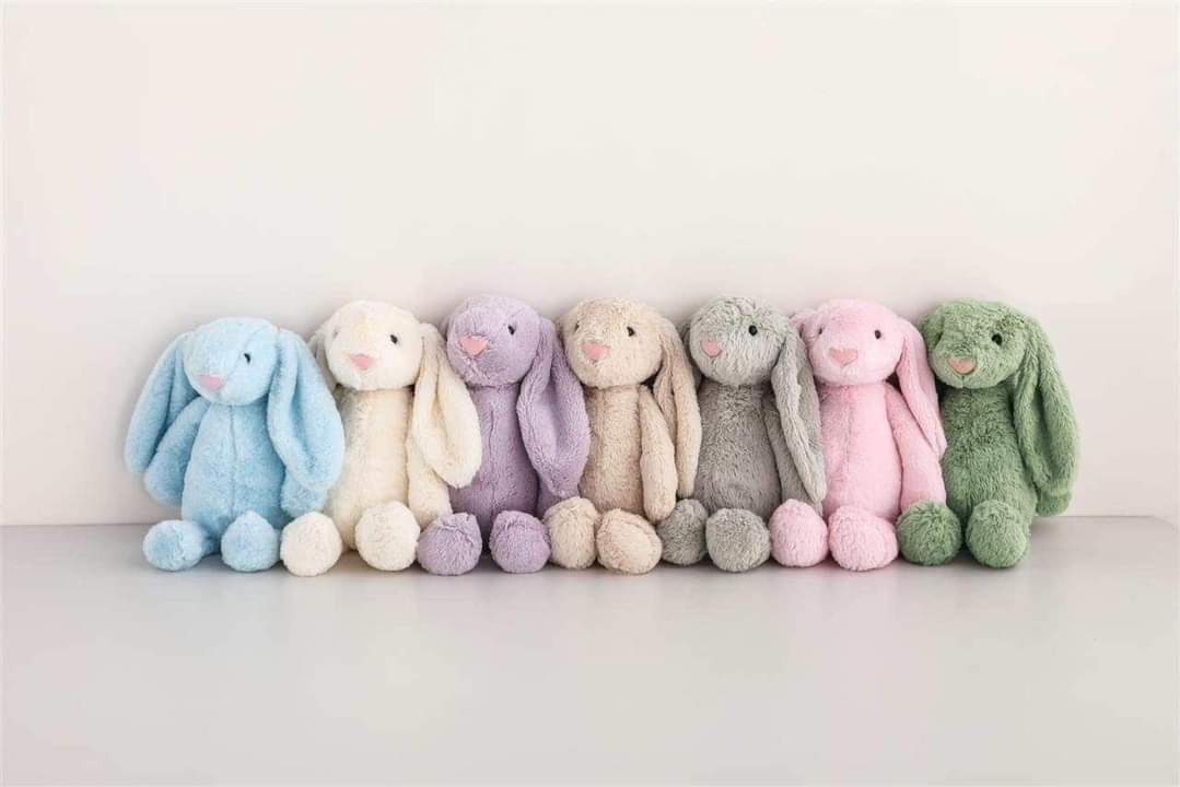 Customized Bunny Stuffy-PRE ORDER
